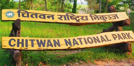 Chitwan National Park Gears Up to Mark Golden Jubilee
