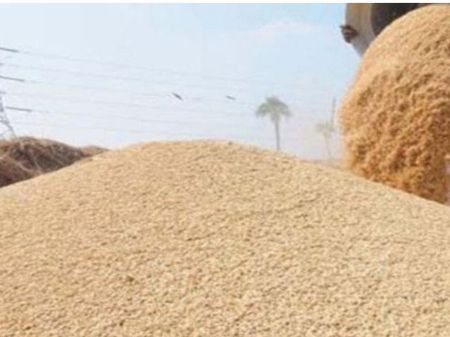 Despite Increase in Paddy Production, Domestic Production Fails to Meet National Rice Demand 