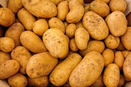 Nepal Needs to Produce Additional 350,000 Tons of Potatoes to become Self Sufficient