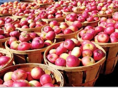 Volume and Price of Imported Apples Decline; Price Yet to Be Cheaper in the Market