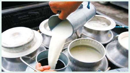 Increase in Milk Price to Benefit Middlemen more than the Farmers
