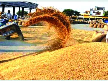 Agro Production Surges In Sudurpaschim Province