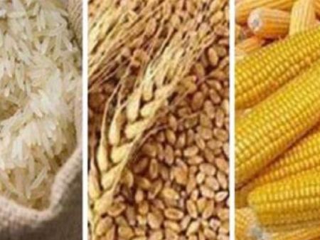  Prices of Maize, Wheat, Rice Drop Worldwide 