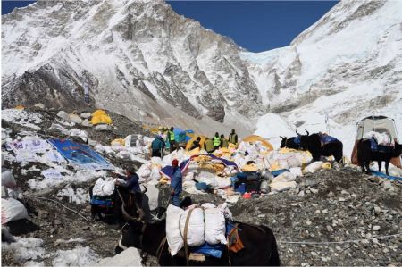 Army Collects  3,000 kg Waste from Mt Annapurna   
