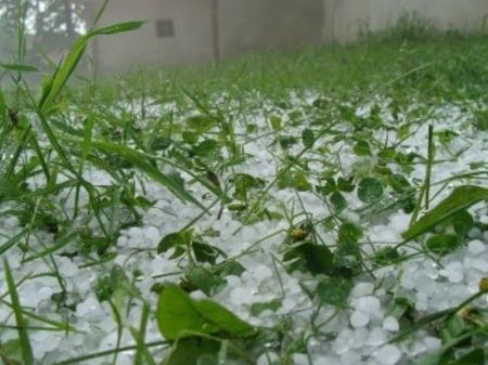 Hailstorm Damages Crops in Bajura;  Farmers Seek Compensation