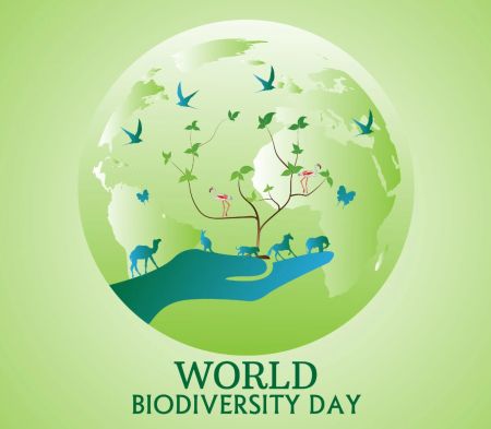 International Day for Biological Diversity Being Observed 
