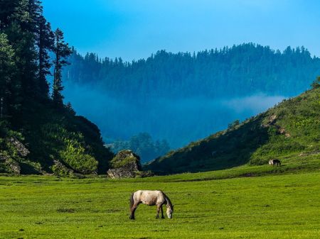 Khaptad to Host Spiritual Conference on June 6-8