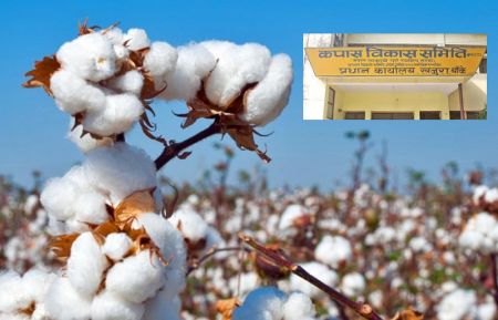 Farmers Unhappy with Government’s Decision to Scrap Cotton Development Committee   