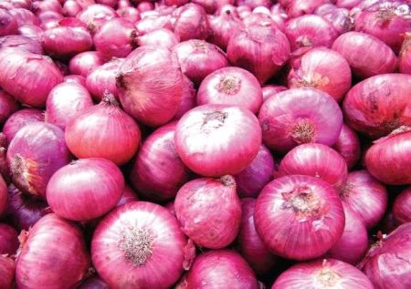 Illegal Imports of Onions Increasing after Imposition of VAT
