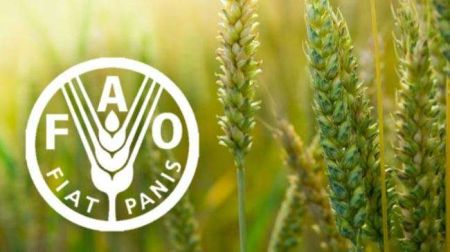 World Food Prices Drop for Seventh Month: FAO