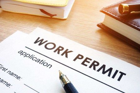550,000 People Acquire Work Permits in Nine Months of Current Fiscal Year