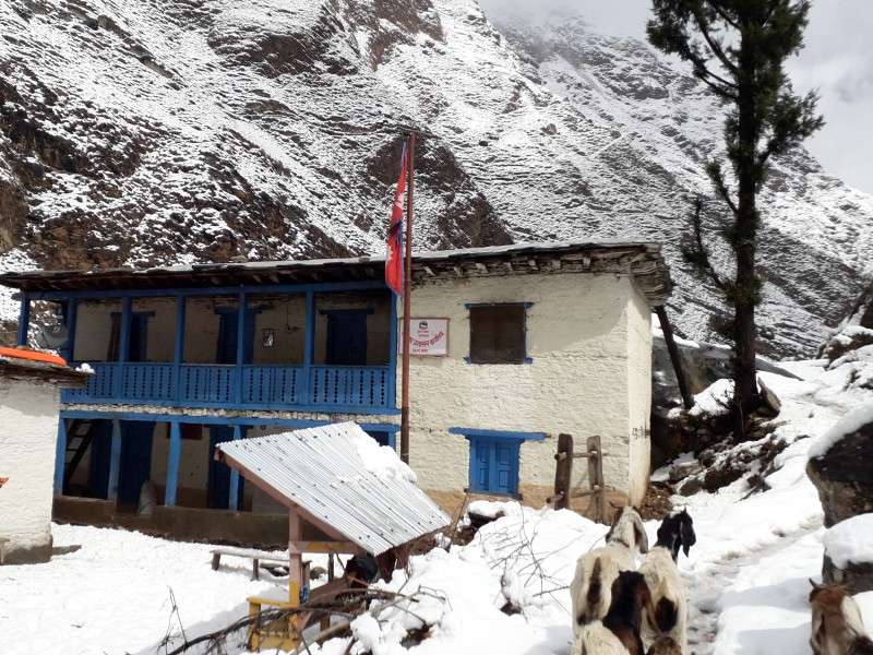 The Area Administrative Office of Mudkechula Rural Municipality in Dolpa wears a deserted look as all administrative works are being carried out from the district headquarters.Photo: Sukmaya Thapa/NBA