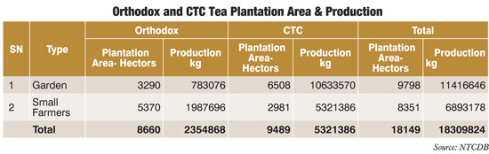 Orthodox and CTC TEa Plantation